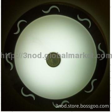 Designer Ceiling Lighting13W warm white
